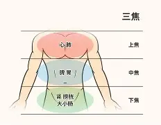 ?jD奲yL5*剖?窠?cf葠>%!鹴??w?ume欜???也臓ξ??(dojki中国版)-开云体育